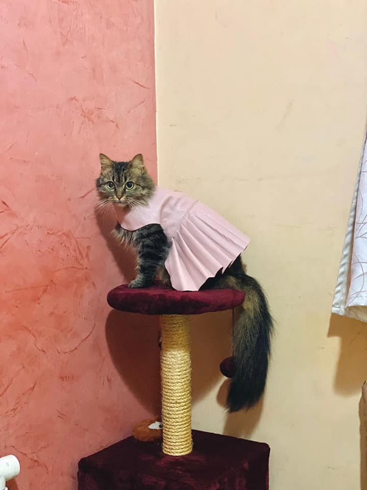 Image de diapositive