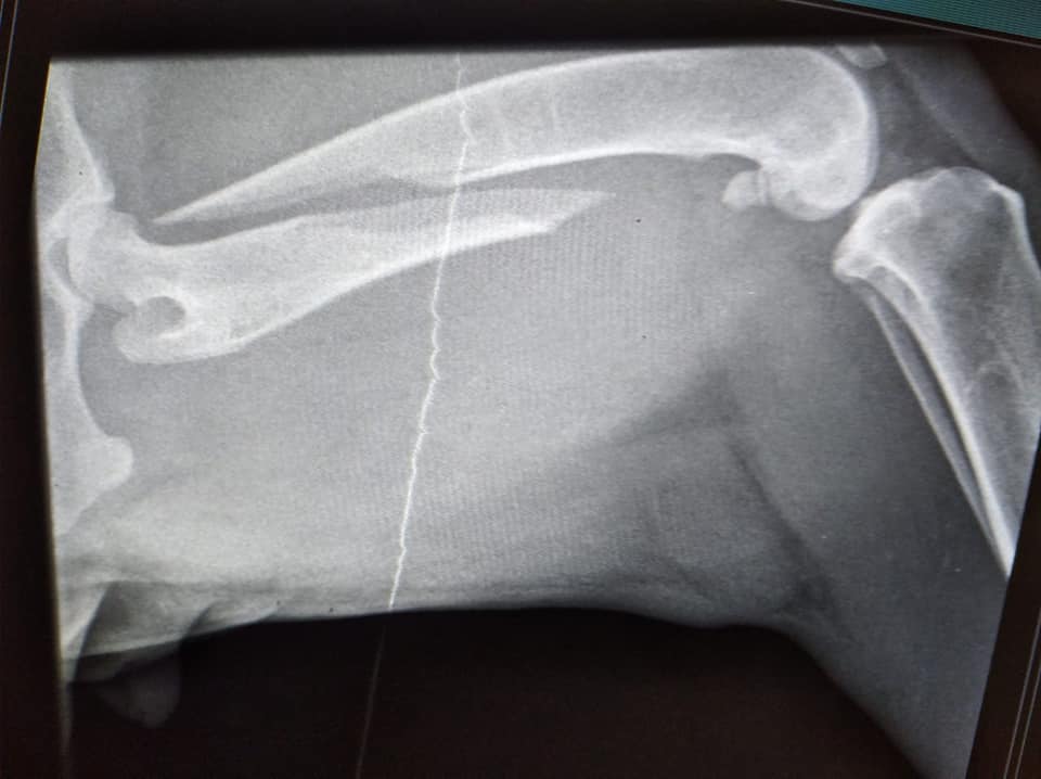 Image de diapositive