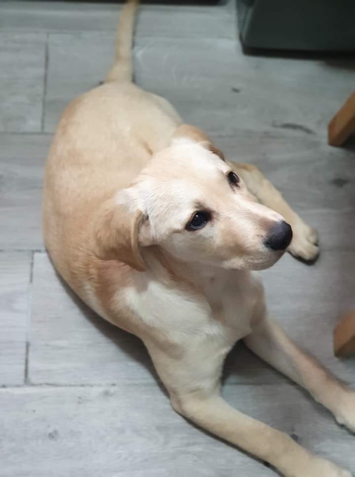 Image de diapositive