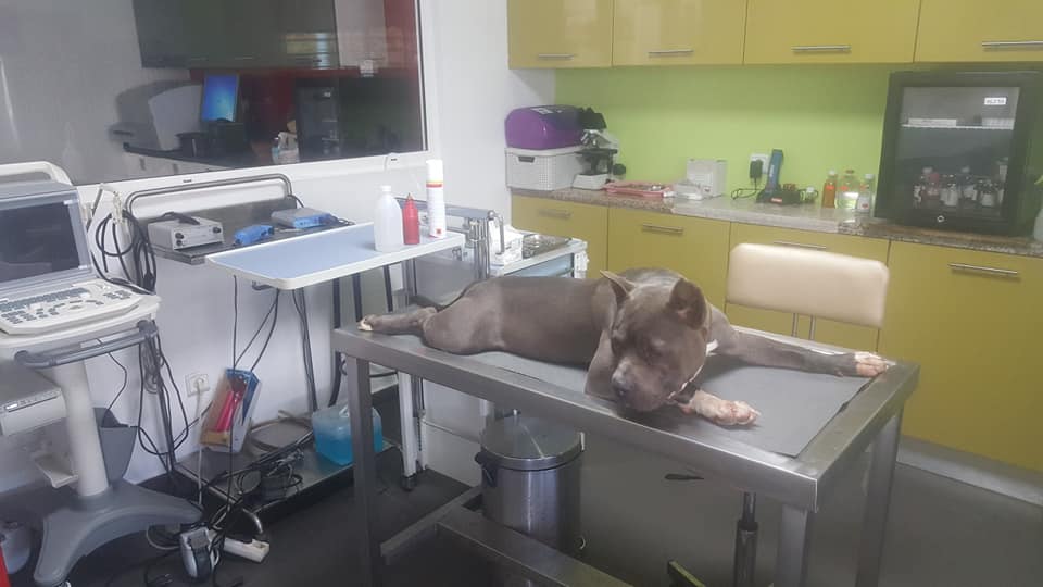 Image de diapositive