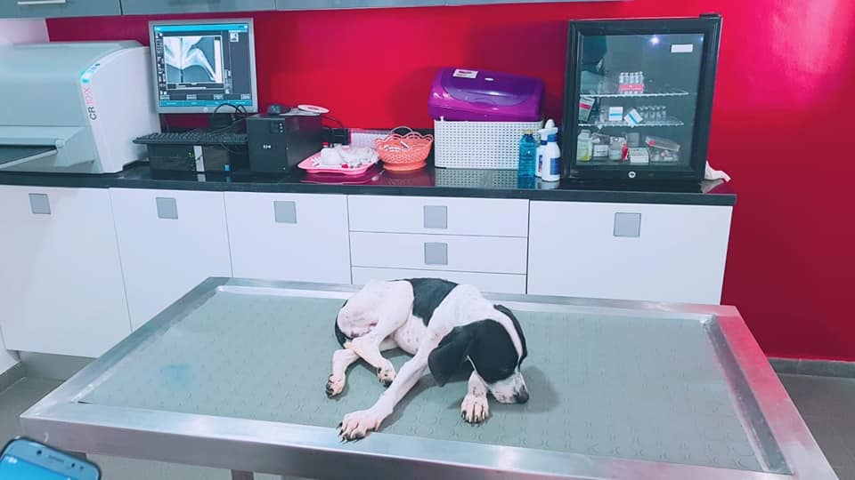 Image de diapositive