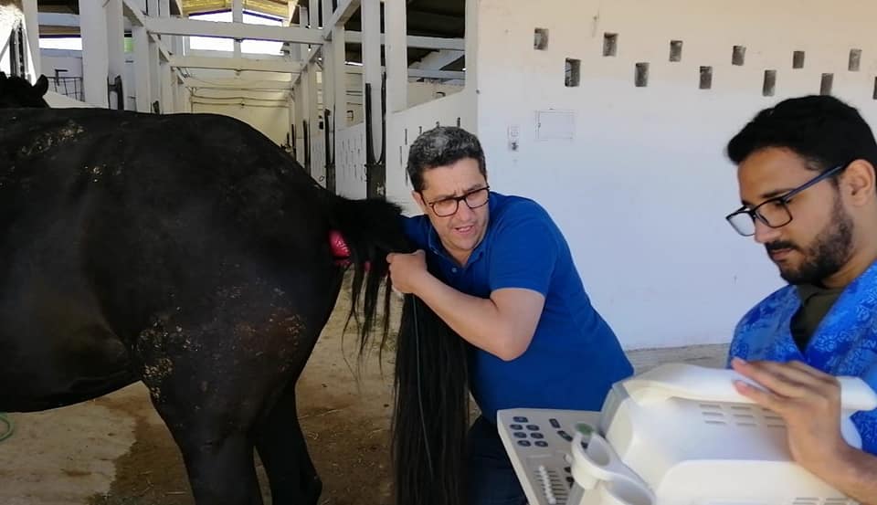 Image de diapositive