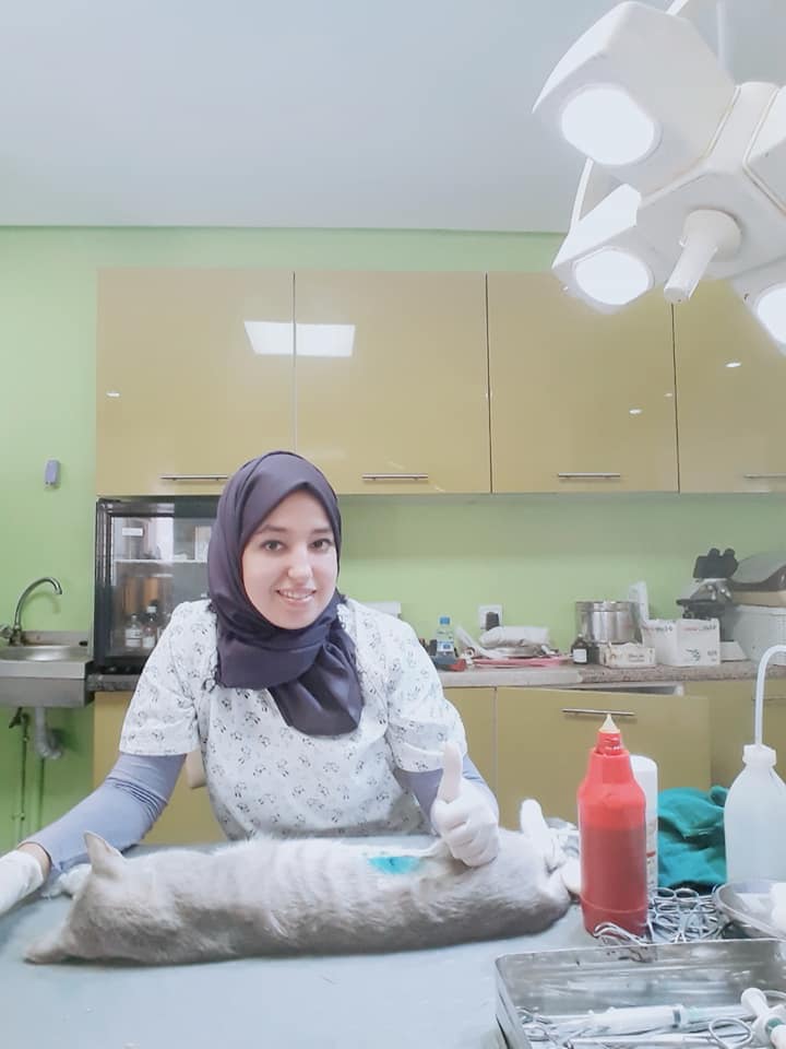 Image de diapositive