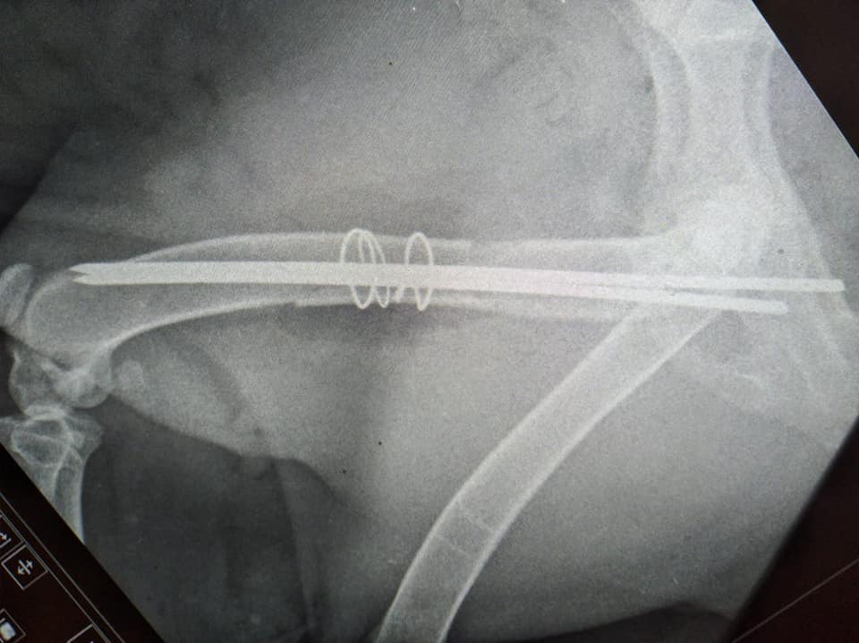 Image de diapositive