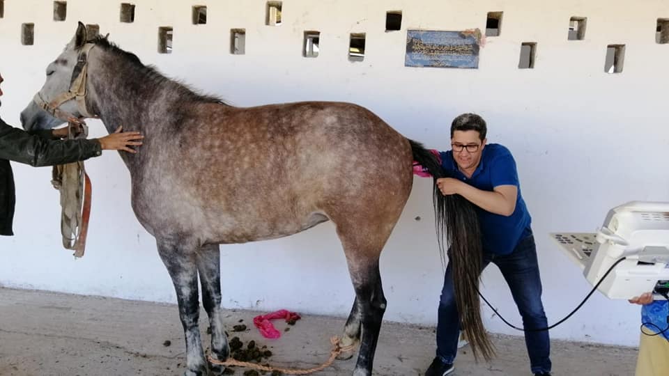 Image de diapositive