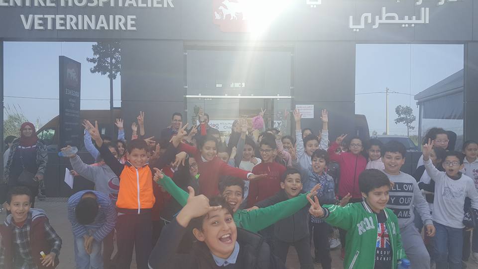 Image de diapositive