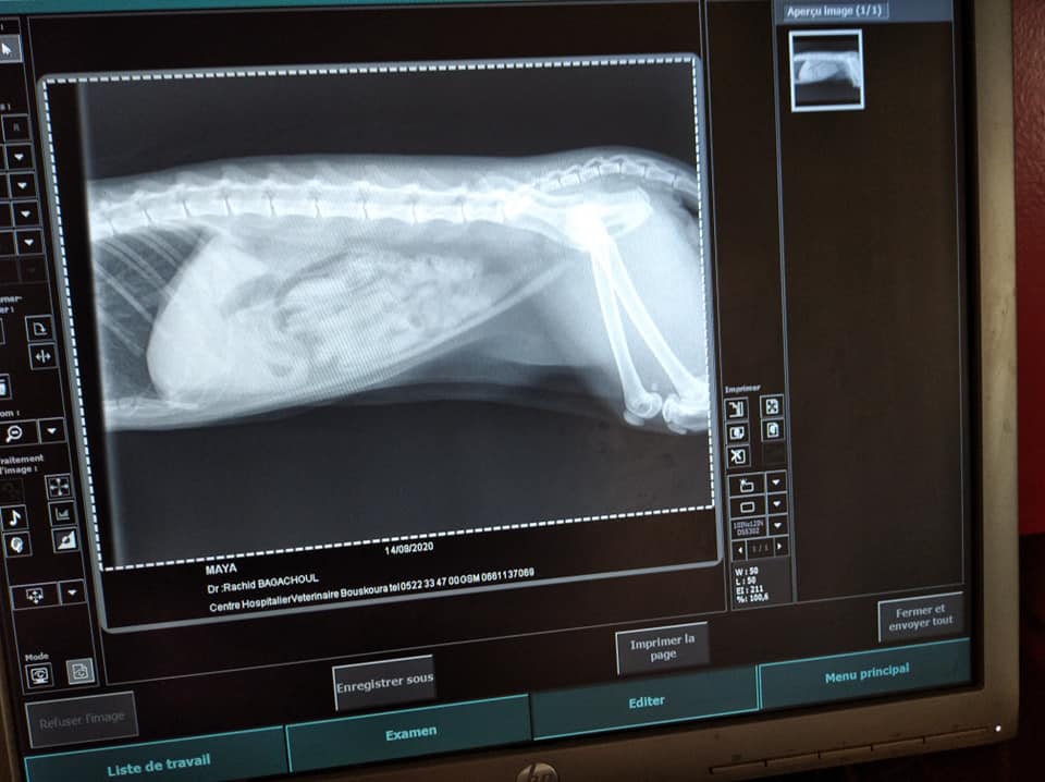 Image de diapositive