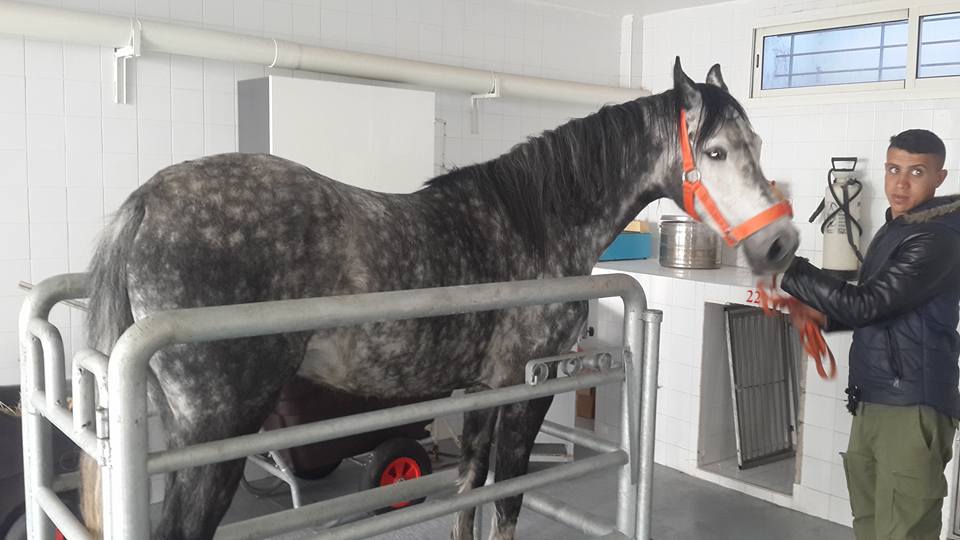 Image de diapositive