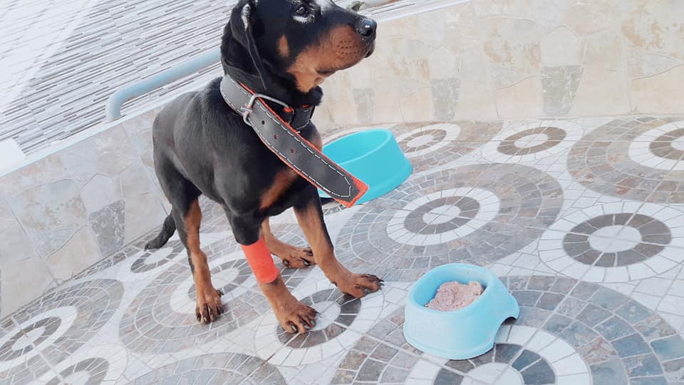 Image de diapositive