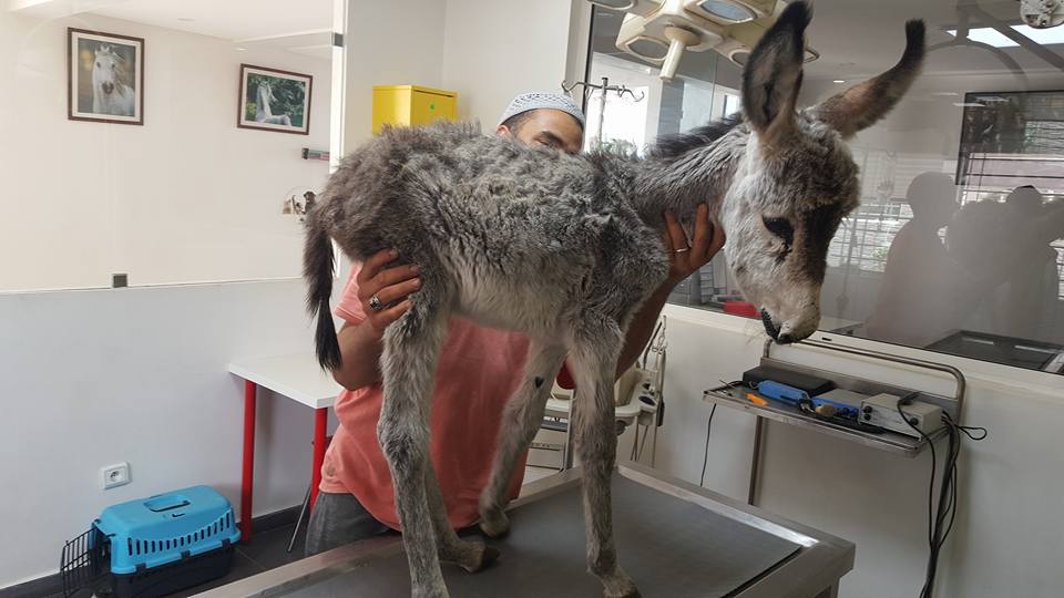 Image de diapositive