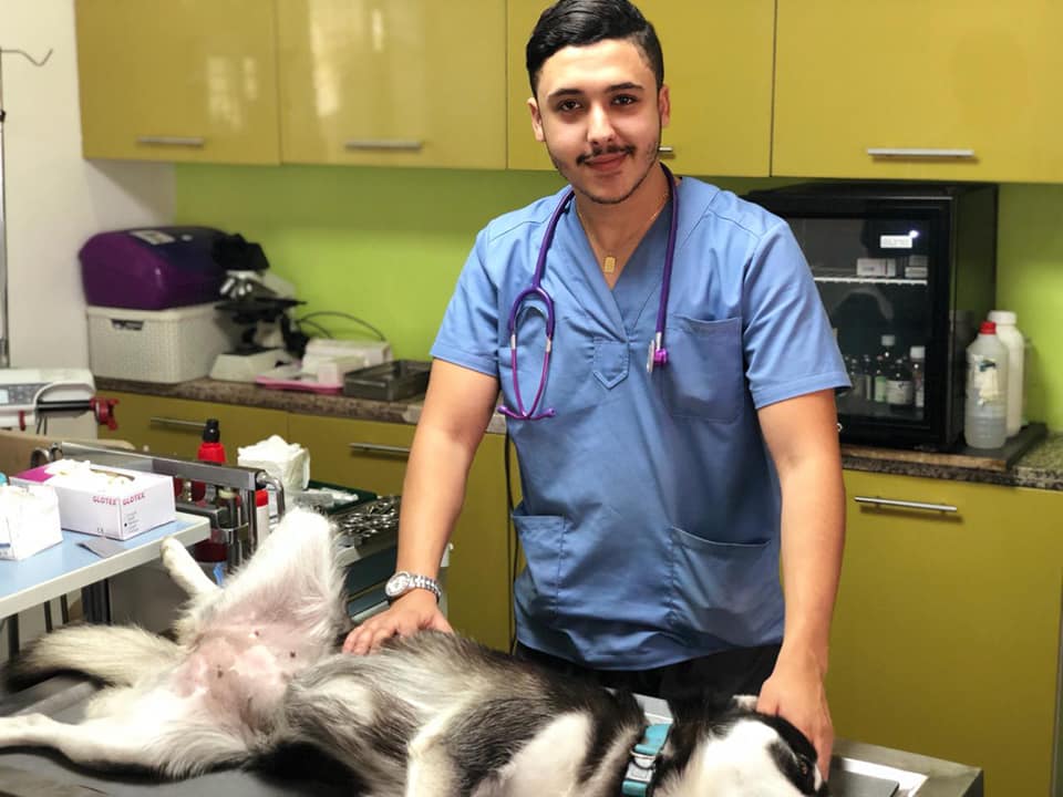 Image de diapositive