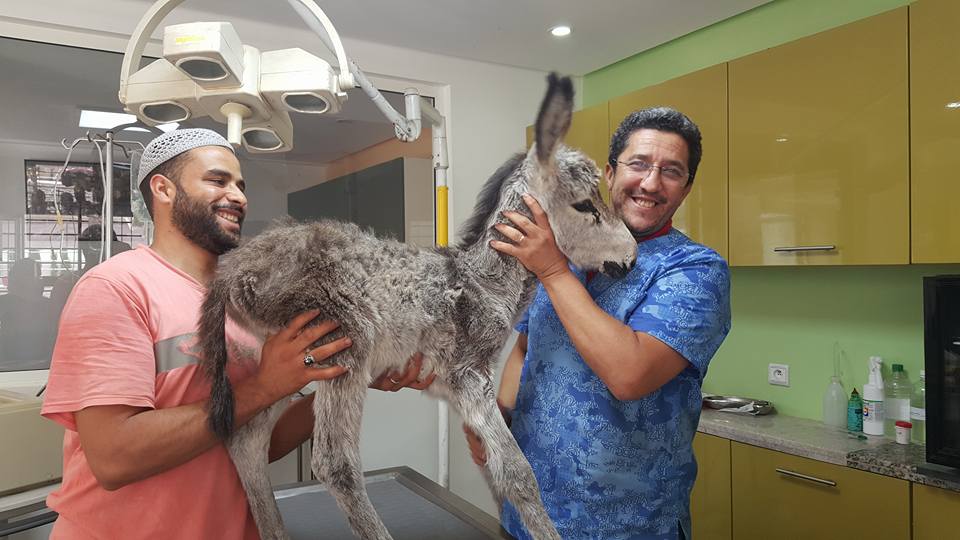 Image de diapositive