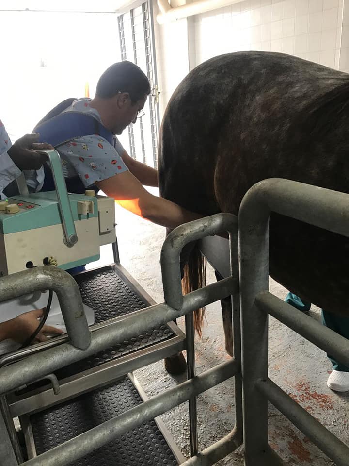 Image de diapositive