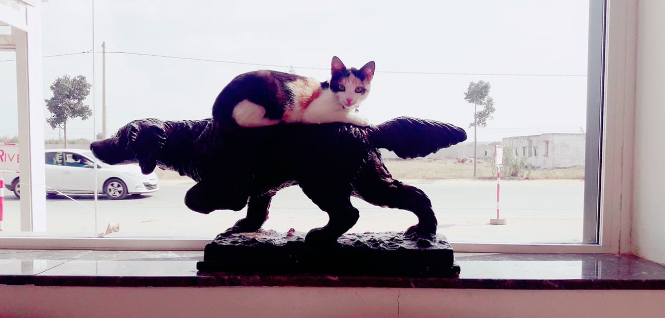 Image de diapositive