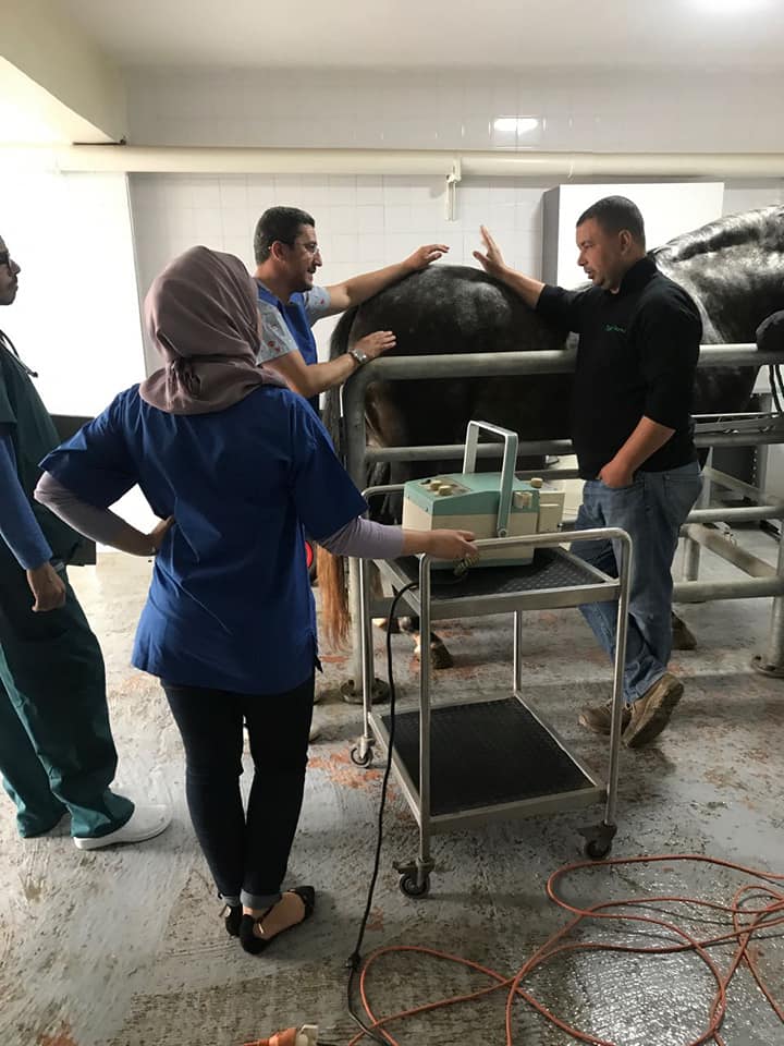 Image de diapositive