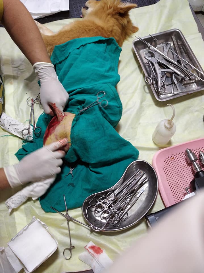 Image de diapositive