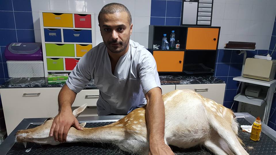 Image de diapositive