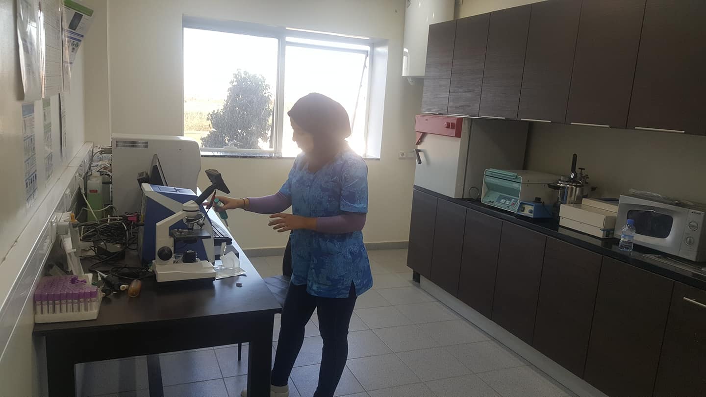 Image de diapositive