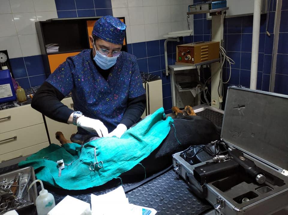 Image de diapositive