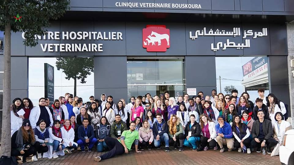 Image de diapositive