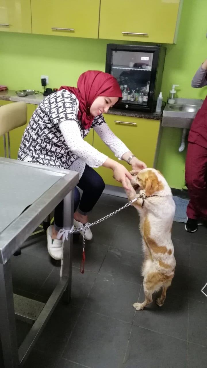 Image de diapositive