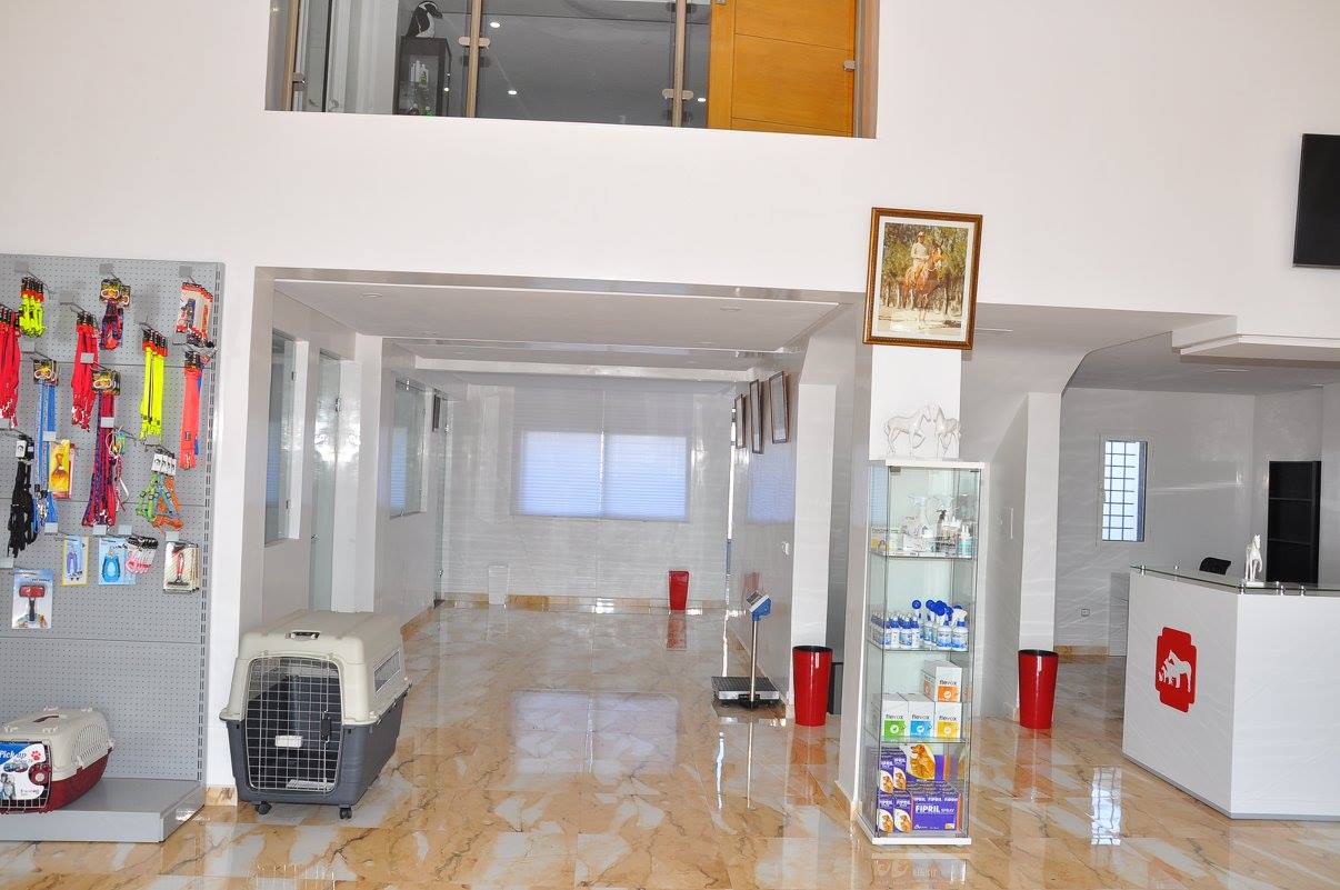 Image de diapositive