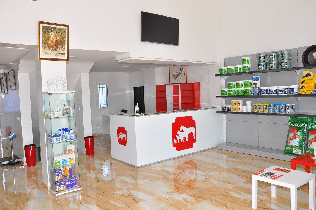 Image de diapositive