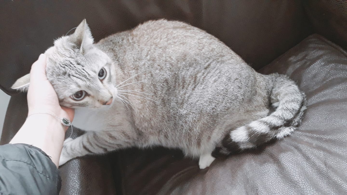 Image de diapositive