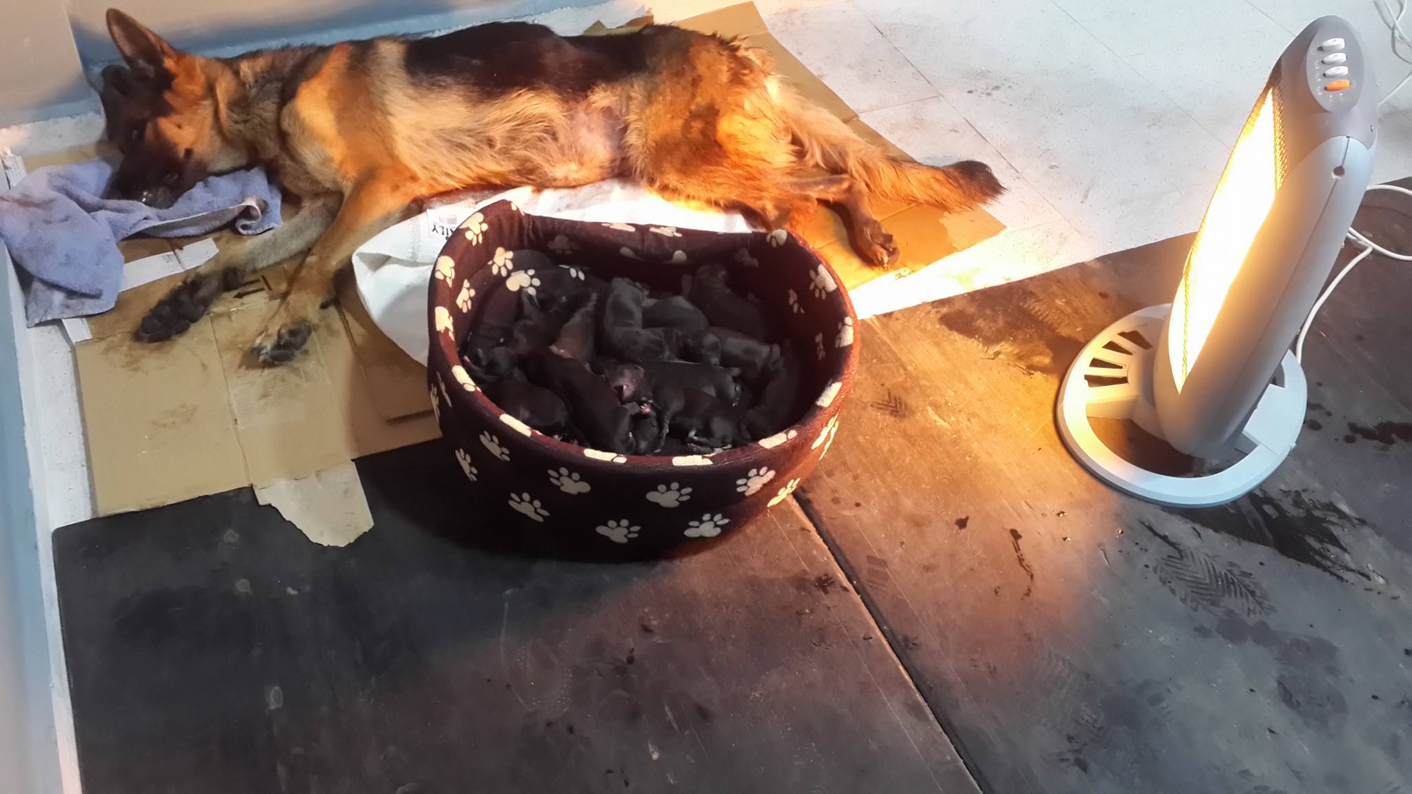 Image de diapositive