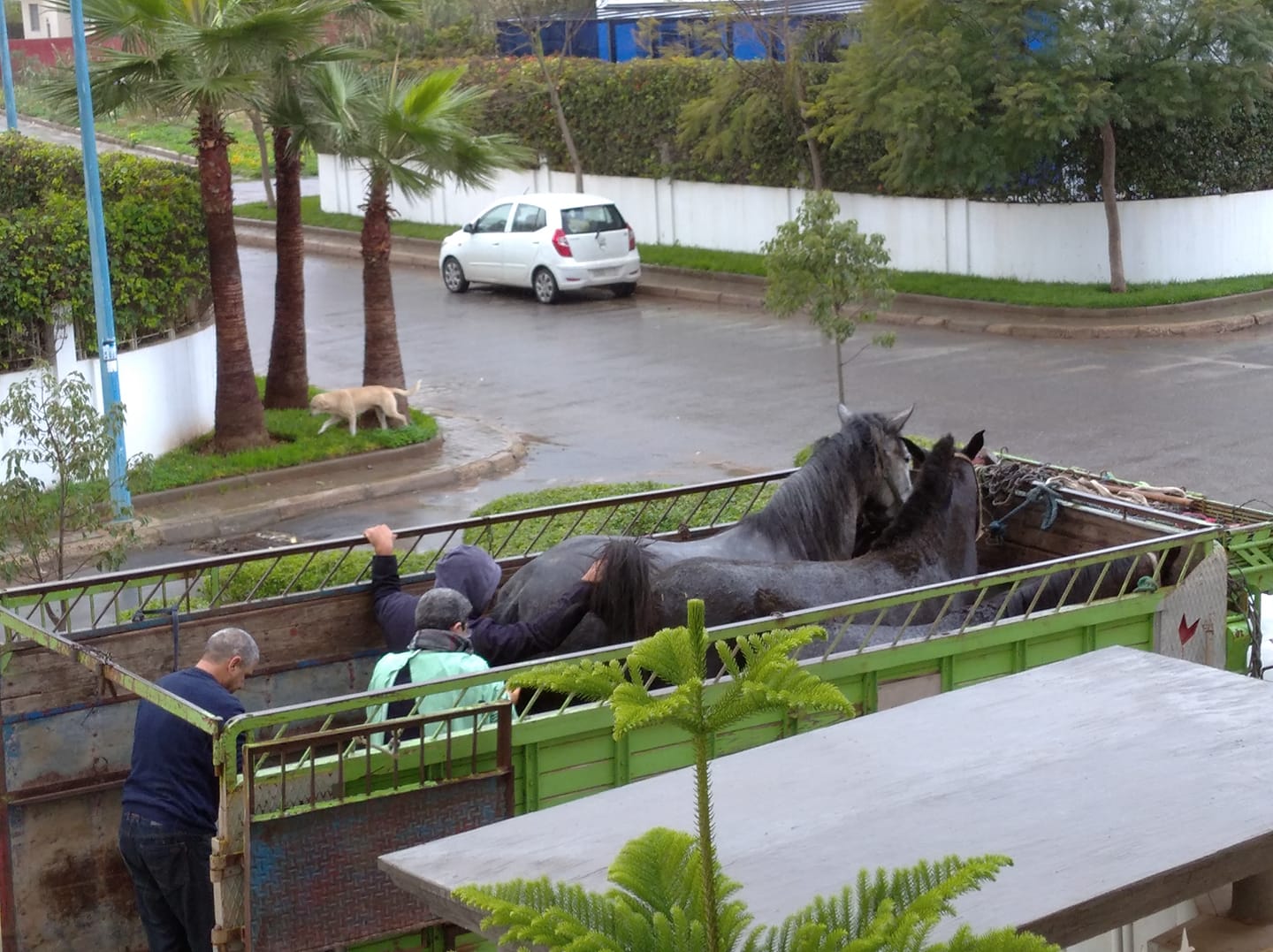 Image de diapositive