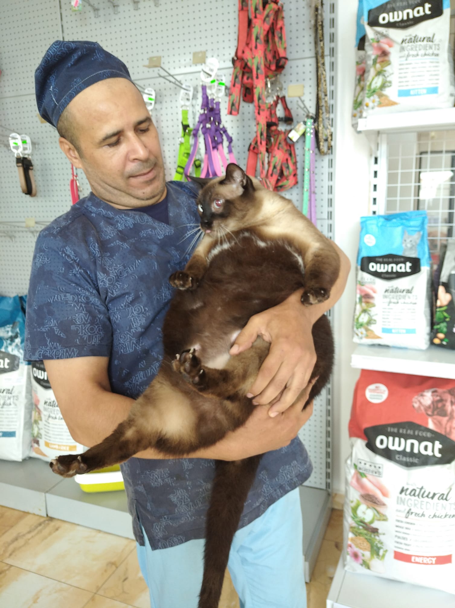 Image de diapositive