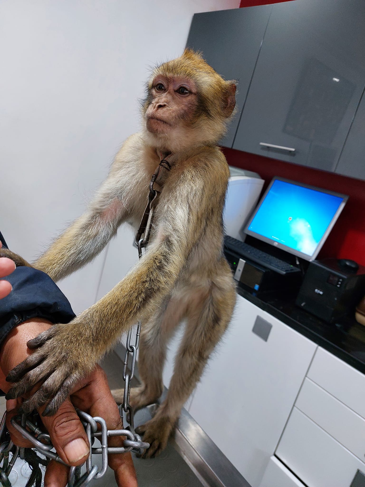 Image de diapositive