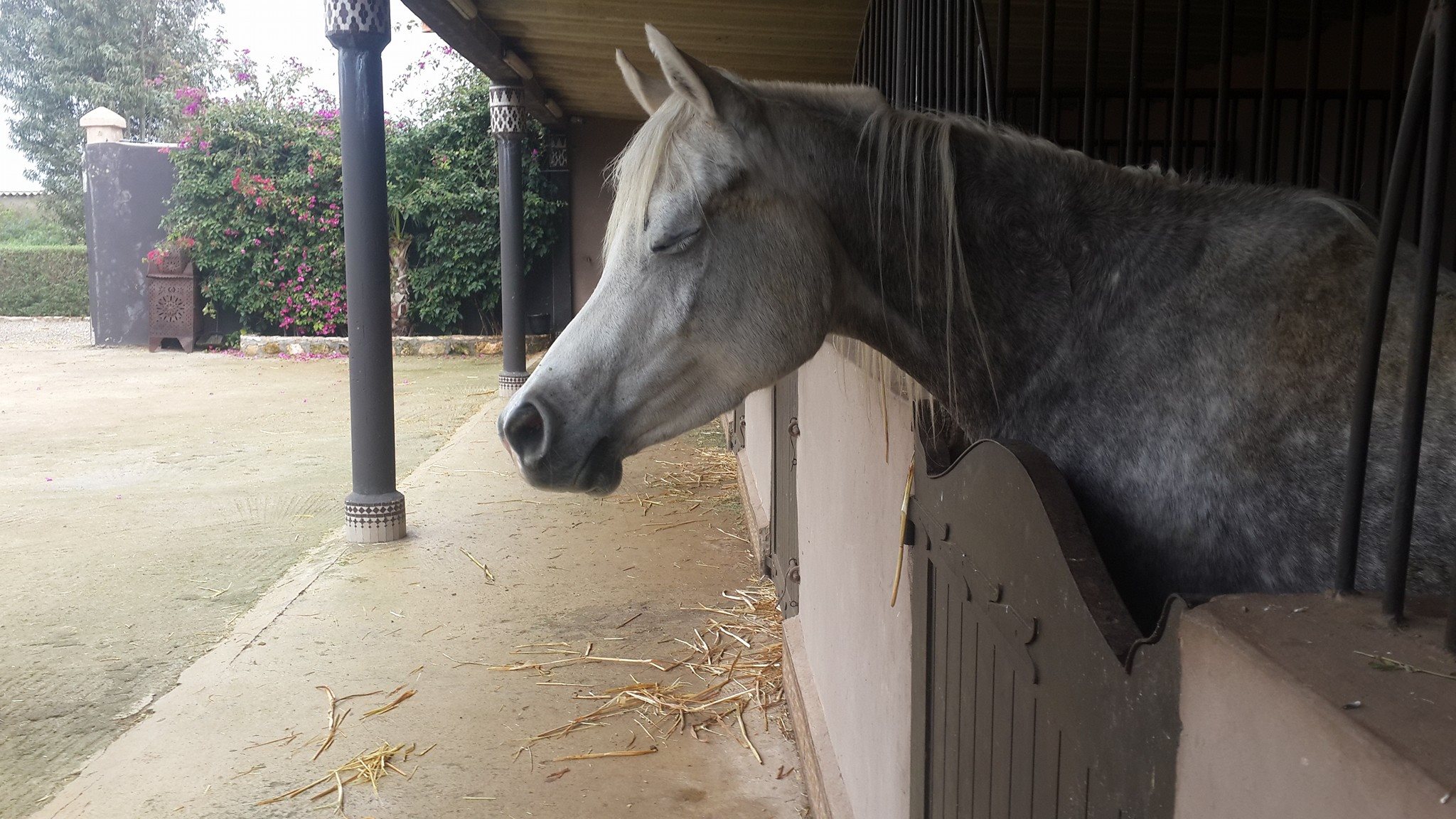 Image de diapositive