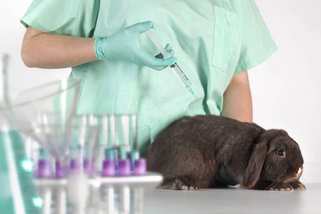 Odoo- Echantillon n° 3 pour trois colonnes