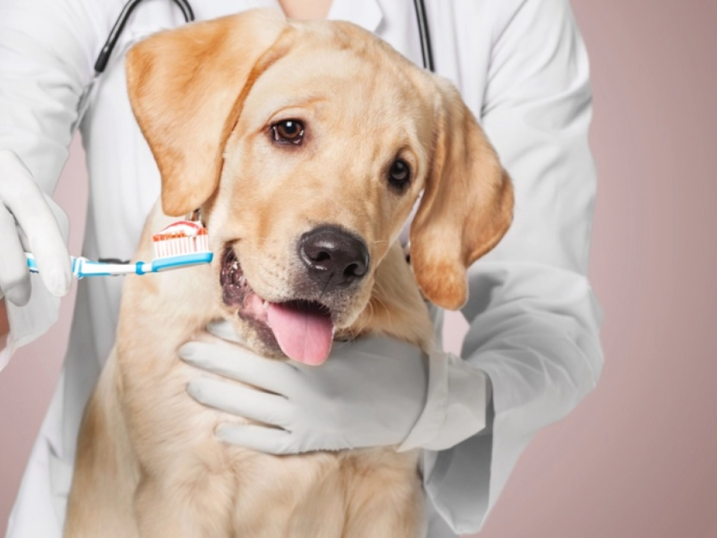 Odoo- Echantillon n° 3 pour trois colonnes