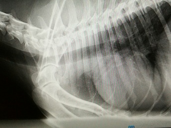 Odoo - Echantillon n°1 pour trois colonnes 