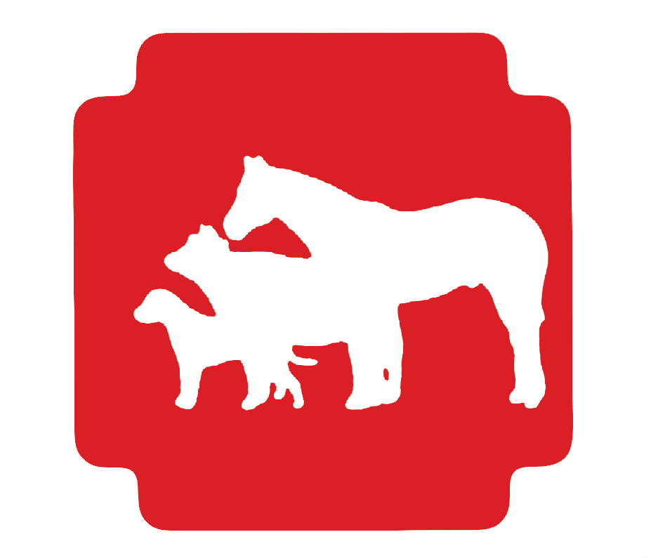 Clinique Vétérinaire Bagachoul